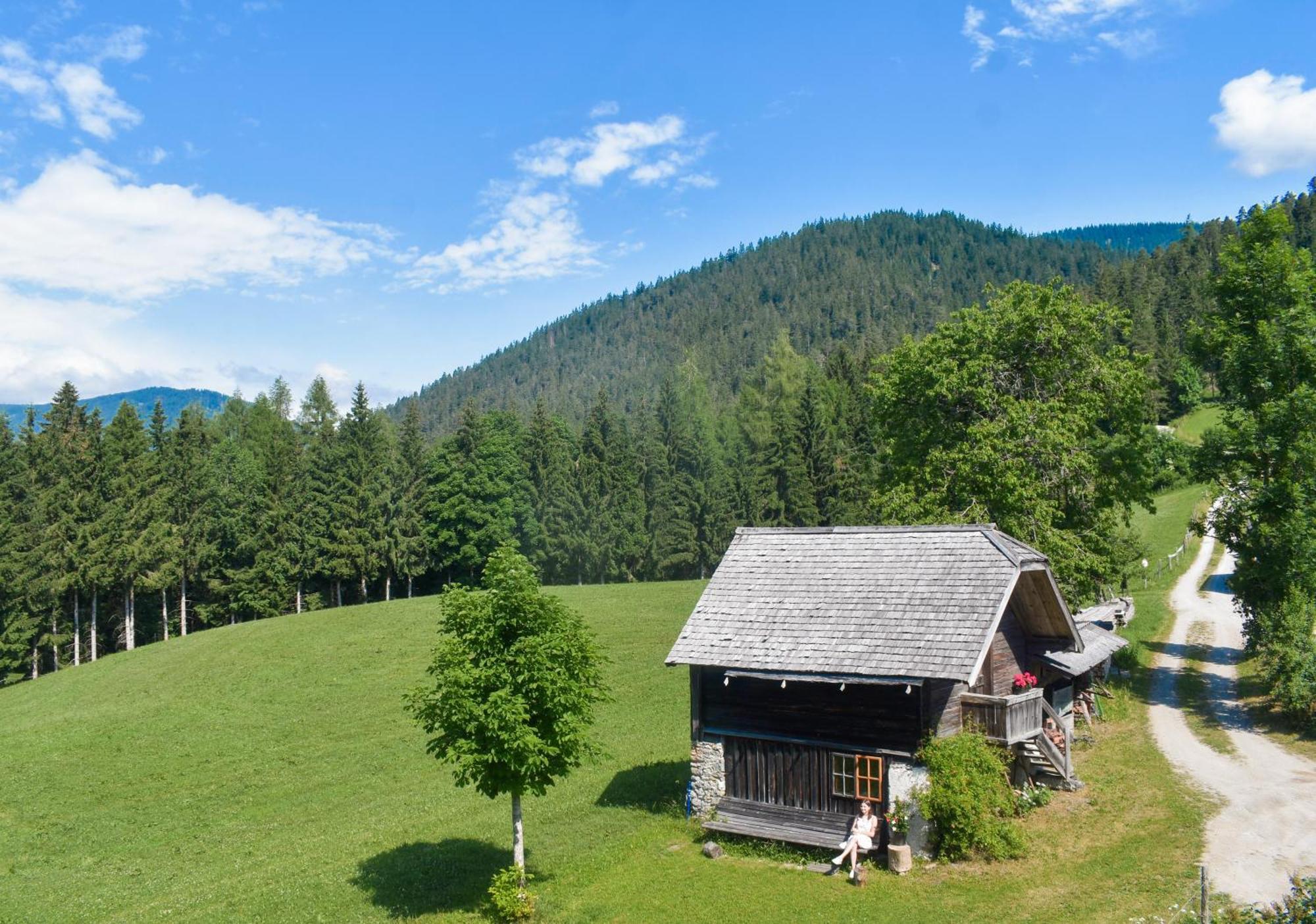 Апартаменти Stoanerhof Шладмінг Екстер'єр фото